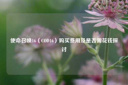 使命召唤16（COD16）购买费用及是否需花钱探讨