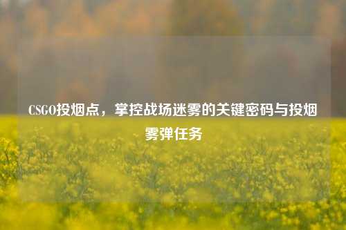 CSGO投烟点,掌控战场迷雾的关键密码与投烟雾弹任务