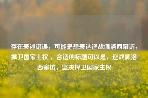 存在表述错误,可能是想表达逆战佩洛西窜访,捍卫国家主权 ,合适的标题可以是,逆战佩洛西窜访,坚决捍卫国家主权