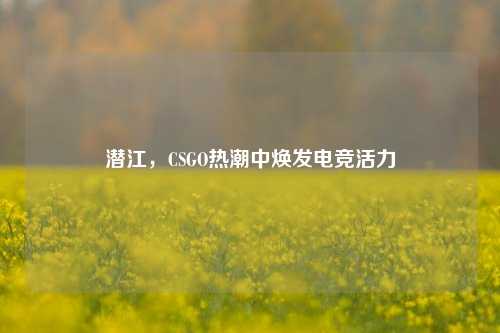 潜江,CSGO热潮中焕发电竞活力