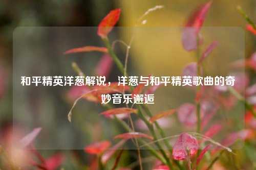 和平精英洋葱解说，洋葱与和平精英歌曲的奇妙音乐邂逅