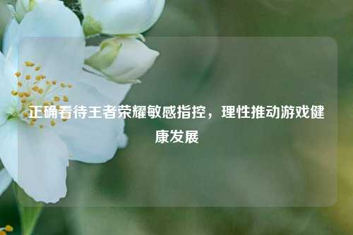 正确看待王者荣耀敏感指控，理性推动游戏健康发展