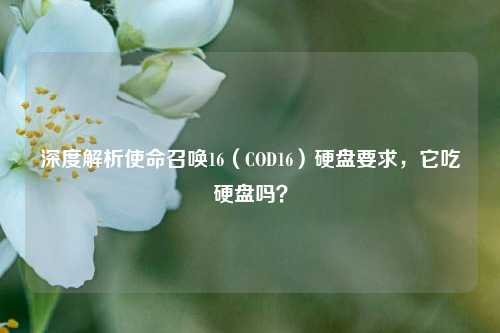 深度解析使命召唤16（COD16）硬盘要求，它吃硬盘吗？