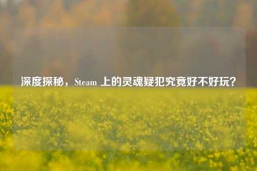 深度探秘，Steam 上的灵魂疑犯究竟好不好玩？