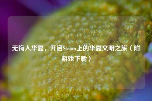 无悔入华夏，开启Steam上的华夏文明之旅（附游戏下载）