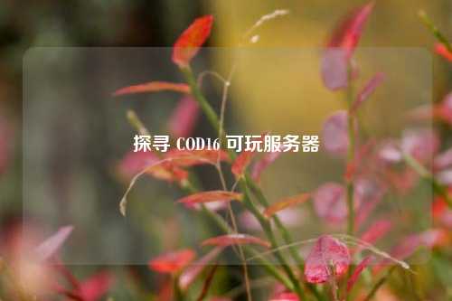 探寻 COD16 可玩服务器