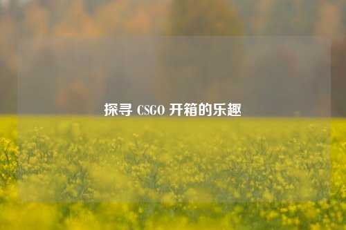 探寻 CSGO 开箱的乐趣