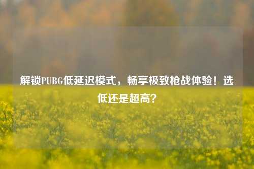 解锁PUBG低延迟模式，畅享极致枪战体验！选低还是超高？