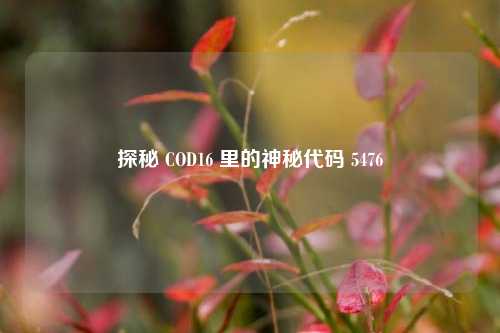 探秘 COD16 里的神秘代码 5476