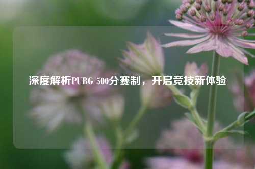 深度解析PUBG 500分赛制,开启竞技新体验