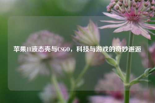 苹果11液态壳与CSGO,科技与游戏的奇妙邂逅