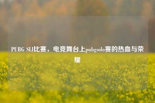 PUBG SLI比赛，电竞舞台上pubgsolo赛的热血与荣耀