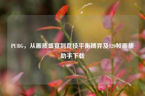 PUBG，从画质盛宴到竞技平衡博弈及120帧画质助手下载