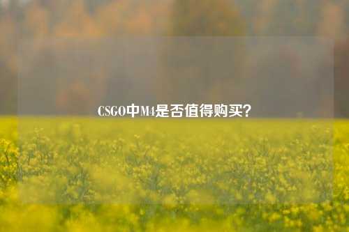 CSGO中M4是否值得购买?