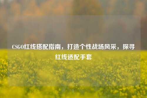 CSGO红线搭配指南，打造个性战场风采，探寻红线适配手套