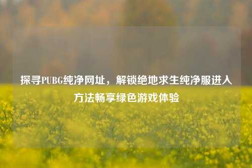 探寻PUBG纯净网址,解锁绝地求生纯净服进入方法畅享绿色游戏体验