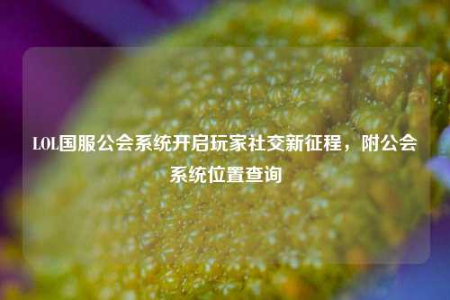 LOL国服公会系统开启玩家社交新征程,附公会系统位置查询