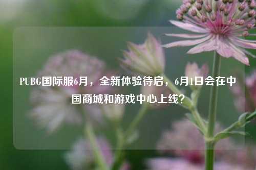PUBG国际服6月,全新体验待启,6月1日会在中国商城和游戏中心上线?