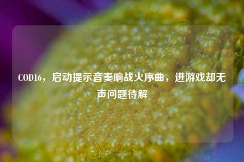 COD16,启动提示音奏响战火序曲,进游戏却无声问题待解