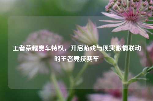 王者荣耀赛车特权,开启游戏与现实激情联动的王者竞技赛车