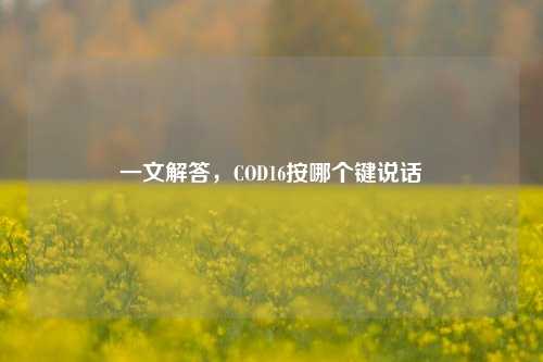 一文解答,COD16按哪个键说话