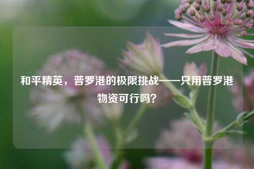 和平精英，普罗港的极限挑战——只用普罗港物资可行吗？