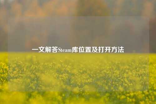 一文解答Steam库位置及打开方法
