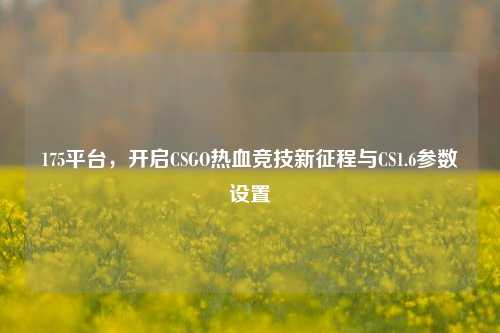 175平台，开启CSGO热血竞技新征程与CS1.6参数设置