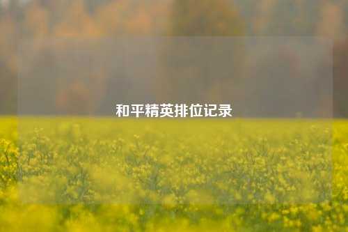 和平精英排位记录