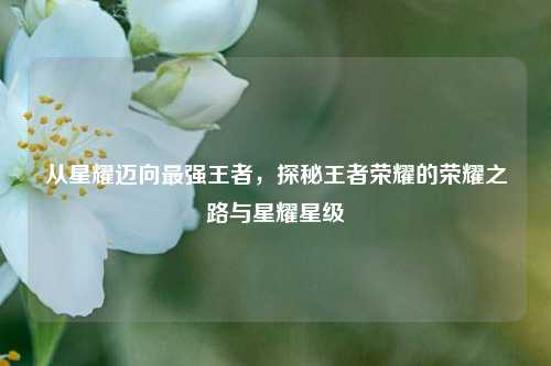 从星耀迈向最强王者，探秘王者荣耀的荣耀之路与星耀星级