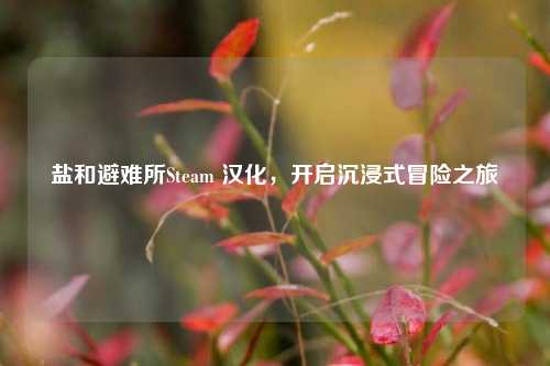 盐和避难所Steam 汉化,开启沉浸式冒险之旅