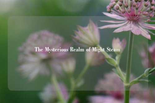 The Mysterious Realm of Might Steam