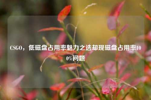 CSGO,低磁盘占用率魅力之选却现磁盘占用率100%问题