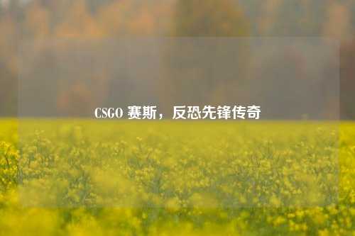 CSGO 赛斯,反恐先锋传奇