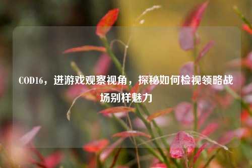 COD16，进游戏观察视角，探秘如何检视领略战场别样魅力