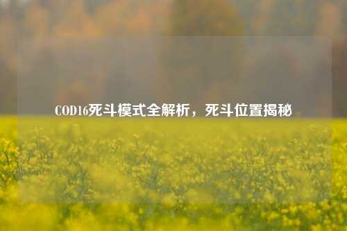 COD16死斗模式全解析,死斗位置揭秘