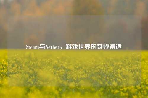 Steam与Nether,游戏世界的奇妙邂逅