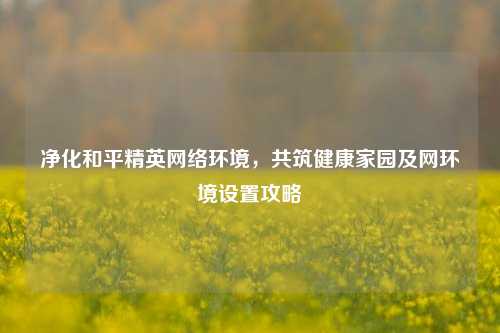 净化和平精英网络环境,共筑健康家园及网环境设置攻略