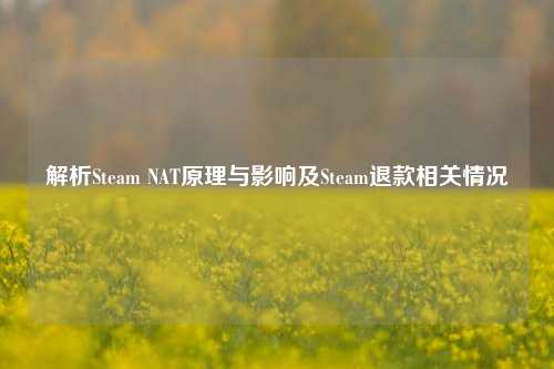解析Steam NAT原理与影响及Steam退款相关情况