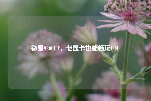 微星9800GT，老显卡也能畅玩LOL
