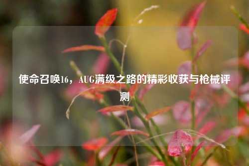 使命召唤16,AUG满级之路的精彩收获与枪械评测