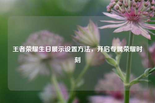王者荣耀生日展示设置方法,开启专属荣耀时刻