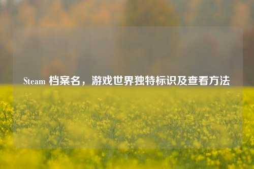 Steam 档案名,游戏世界独特标识及查看方法