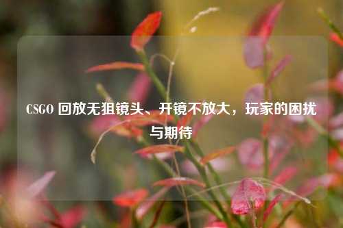 CSGO 回放无狙镜头、开镜不放大,玩家的困扰与期待
