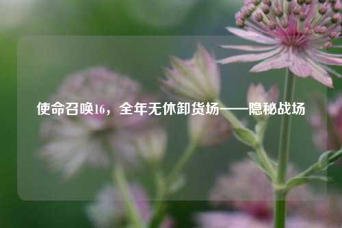 使命召唤16,全年无休卸货场——隐秘战场