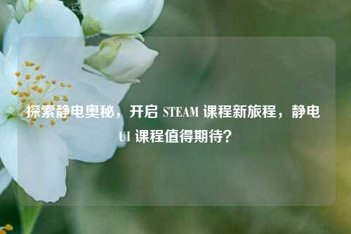 探索静电奥秘，开启 STEAM 课程新旅程，静电 UI 课程值得期待？