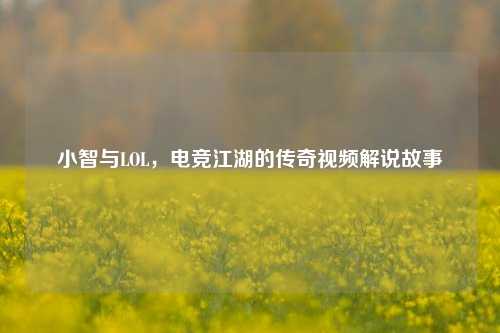 小智与LOL,电竞江湖的传奇视频解说故事