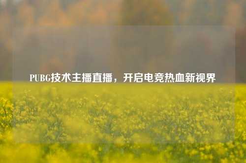 PUBG技术主播直播,开启电竞热血新视界