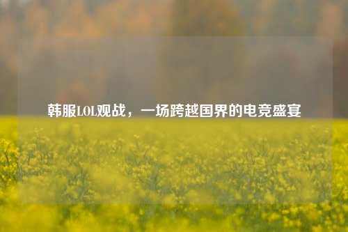 韩服LOL观战,一场跨越国界的电竞盛宴