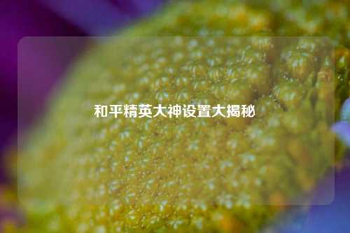 和平精英大神设置大揭秘